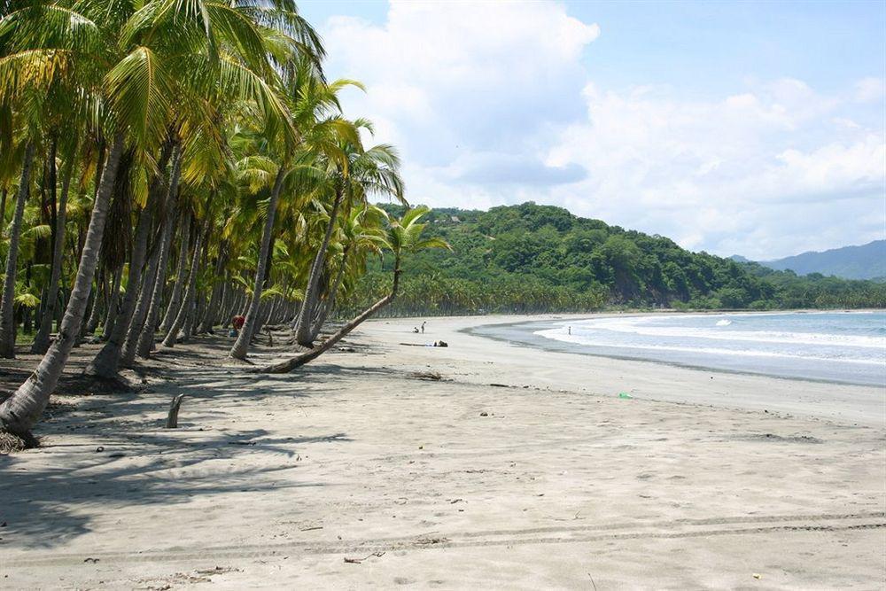 Hotel Villa Teca Manuel Antonio Exteriör bild